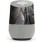 Gothic Princess with Silver Dragon by Nene Thomas Google Home Skin